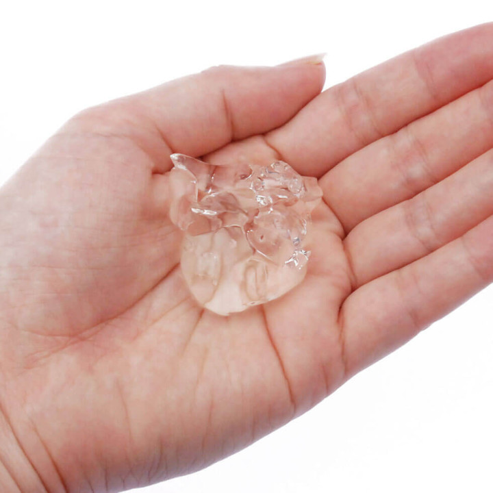 Gokujo Sujiman Kupa Roa