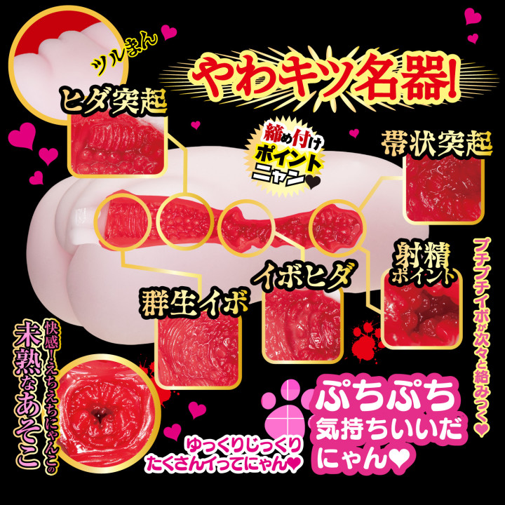 Nyan Nyan Ichika Matsumoto