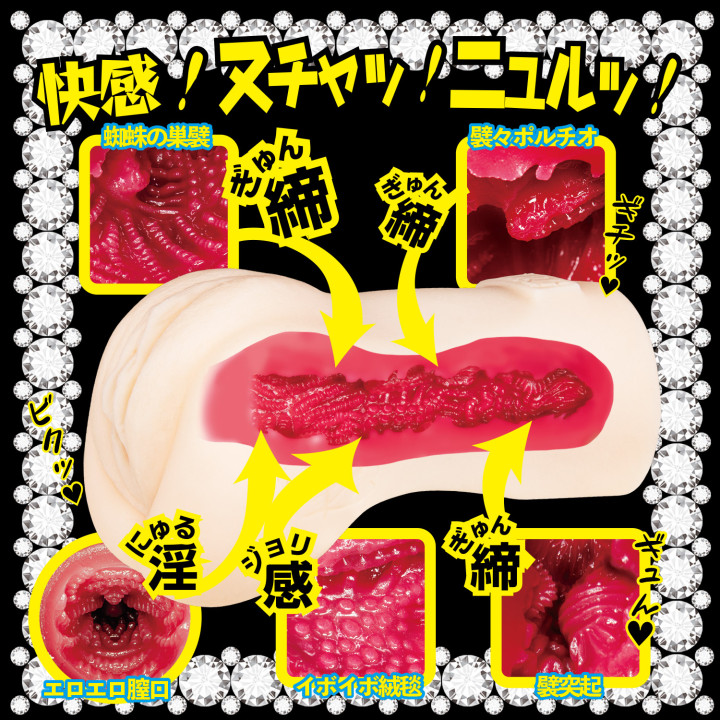 Beautiful Maid Meiki Aoi Kururugi