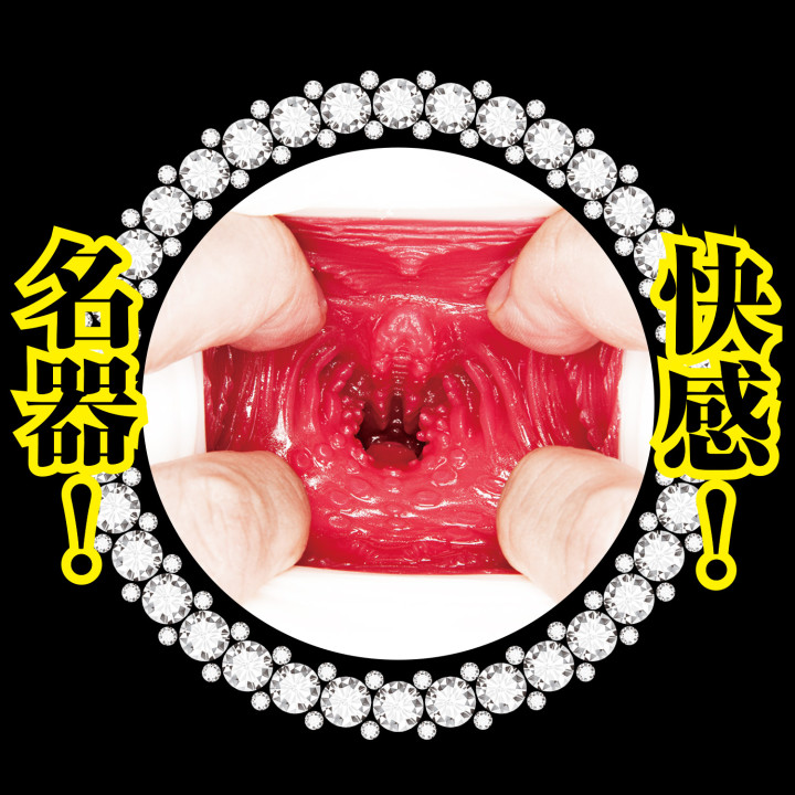 Beautiful Maid Meiki Aoi Kururugi