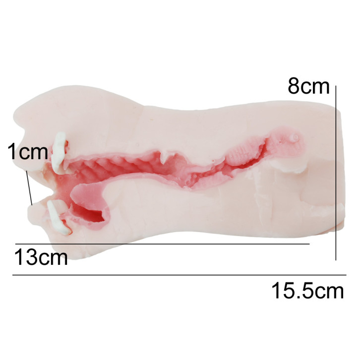 La Bocca Della Verita