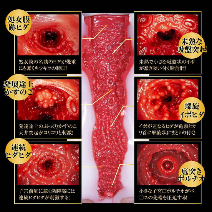 Meiki Jyunjyou Ichika Matsumoto