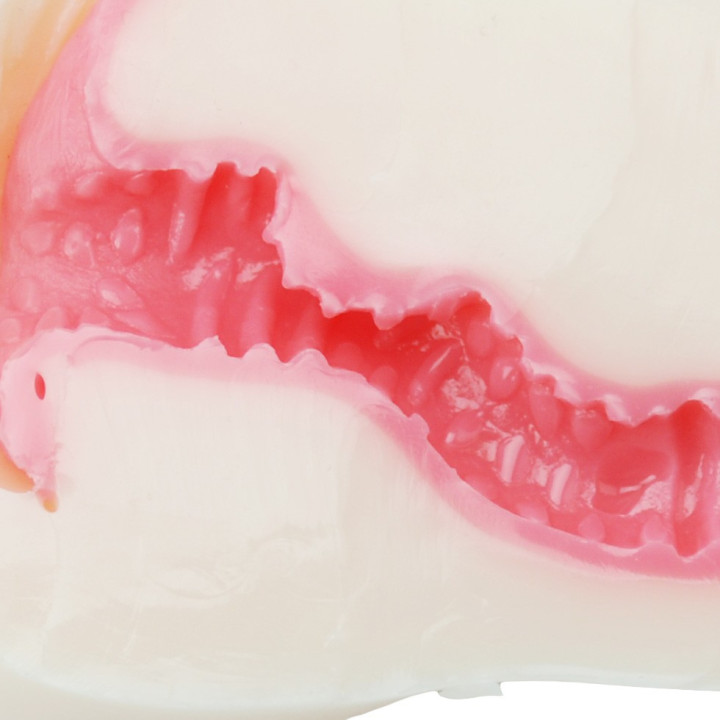 Sujiman Kupa Roa Hard Edition